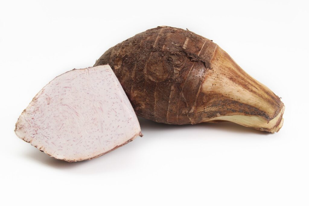 taro naturel tubercule